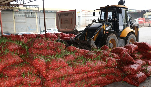 Çürümüş 22 ton soğan imha edildi