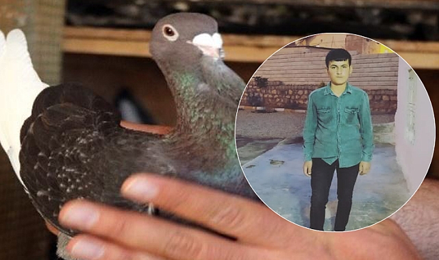 Urfa'da güvercin kavgası can aldı