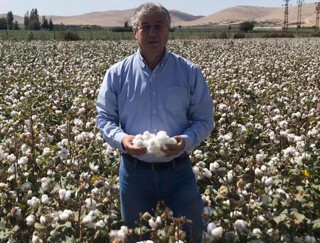 Urfa’da pamuk üretimi azalıyor