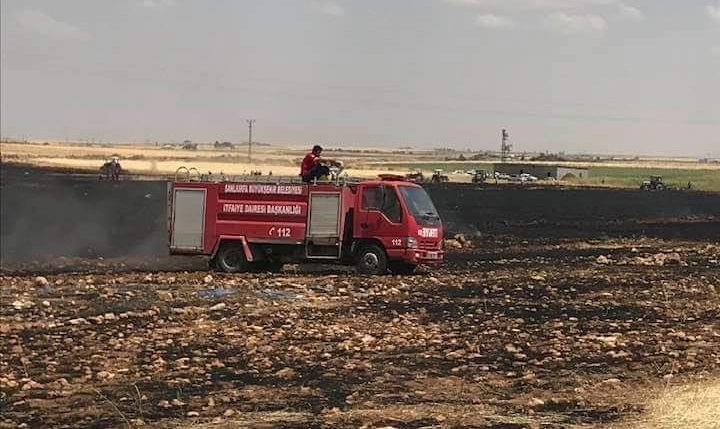 Viranşehir’de 100 dönüm buğday ekili tarla yandı