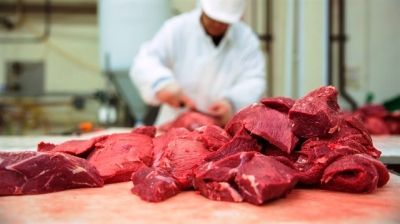Bakan Fakıbaba: Et İthalatını 3 Yıl İçinde Bitireceğiz