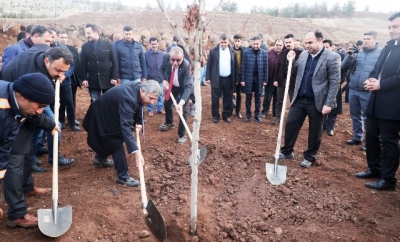 Başkan Çiftçi, Meclis Üyeleriyle Birlikte Ağaç Dikti