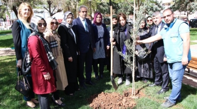 Başkan Demirkol, şehit annesi ile “zeytin” fidanı dikti-VİDEOLU-