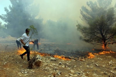 Göbeklitepe Ormanı'nda korkutan yangın kontrol altına alındı