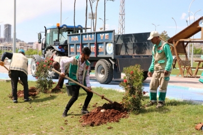 Haliliye’de Yeni Parklar İle Yeşil Alan Miktarı Artırılıyor 