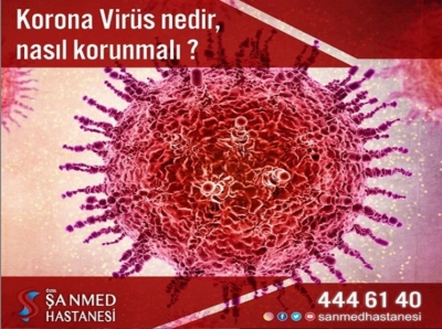 Korona virüsü nedir