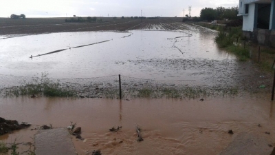 Sel tarım arazilerini de vurdu 