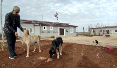 Siverek hayvan rehabilitasyon merkezi açılışa hazır