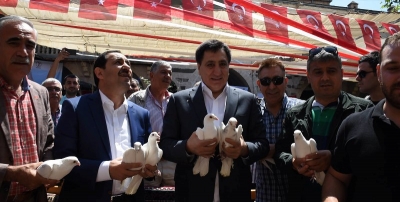 Urfa'da güvercin yarışması