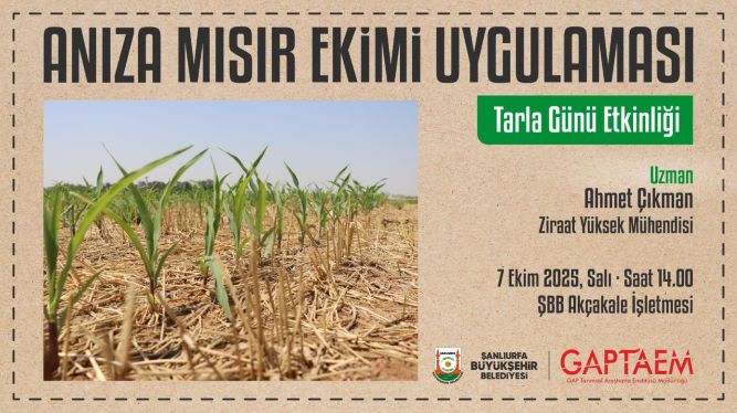  ANIZA MISIR EKİMİ UYGULAMASI ŞANLIURFA’DA TARLA GÜNÜNDE TANITILACAK