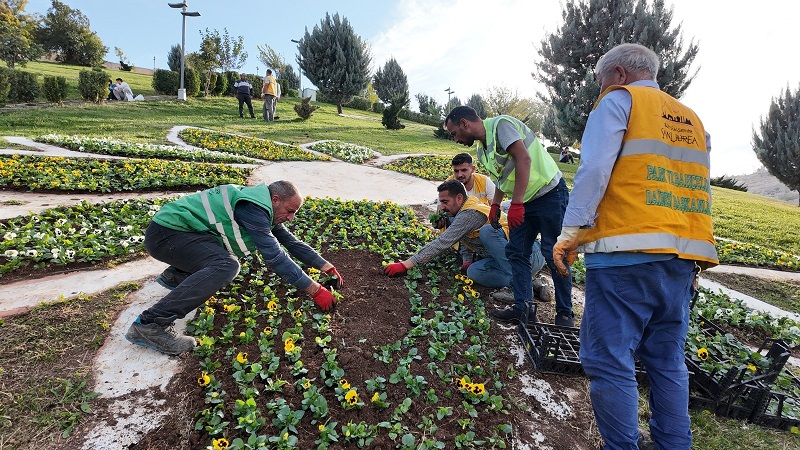 ŞANLIURFA'DA 400 BİN MEVSİMLİK ÇİÇEK TOPRAKLA BULUŞUYOR