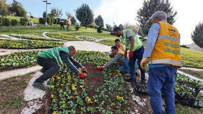 ŞANLIURFA'DA 400 BİN MEVSİMLİK ÇİÇEK TOPRAKLA BULUŞUYOR